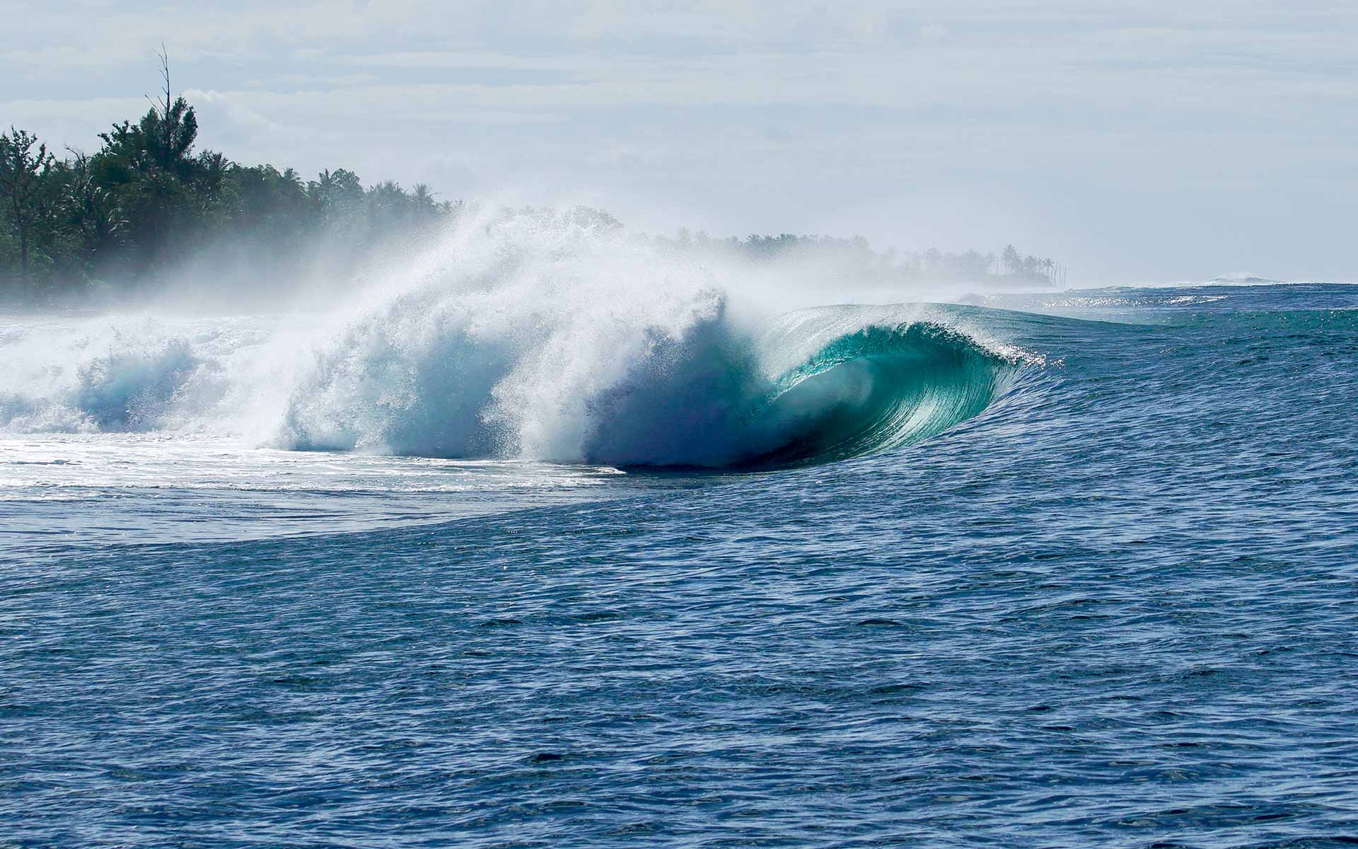 Ocean Dreams Mentawai Surfing